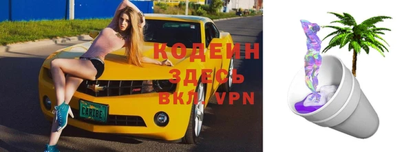 ПСИЛОЦИБИНОВЫЕ ГРИБЫ Вяземский