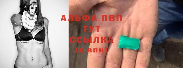 ПСИЛОЦИБИНОВЫЕ ГРИБЫ Вяземский