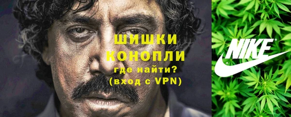 дурь Горняк