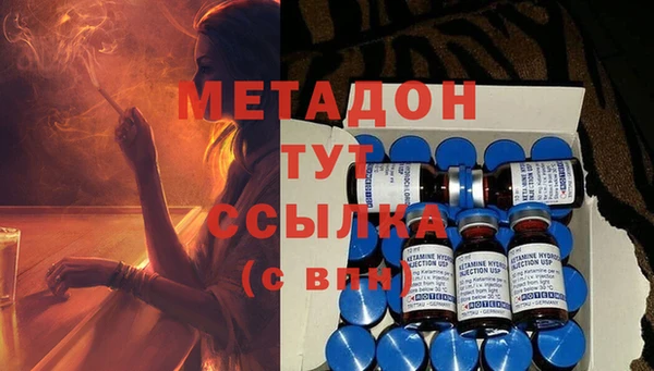 ПСИЛОЦИБИНОВЫЕ ГРИБЫ Вяземский