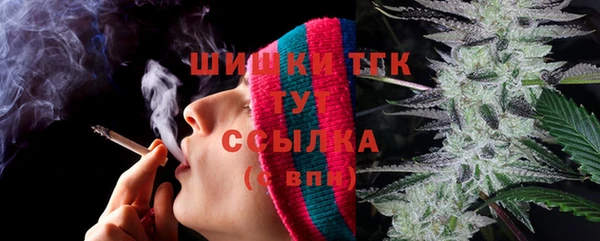прущий лед Вязьма