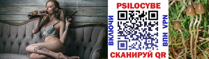Купить где  Сретенск  Псилоцибиновые грибы GOLDEN TEACHER 